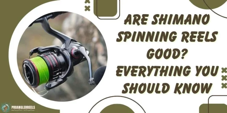 Are Shimano Spinning Reels Good? Everything You Should Know
