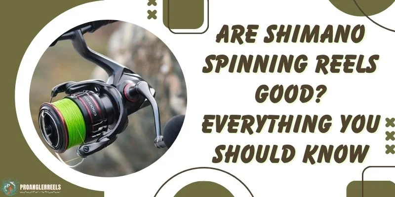 Are Shimano Spinning Reels Good Everything You Should Know