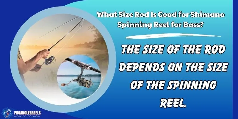 What Size Rod Is Good for Shimano Spinning Reel for Bass