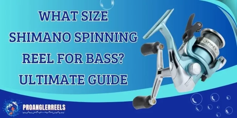 What Size Shimano Spinning Reel For Bass?—Best Ultimate Guide