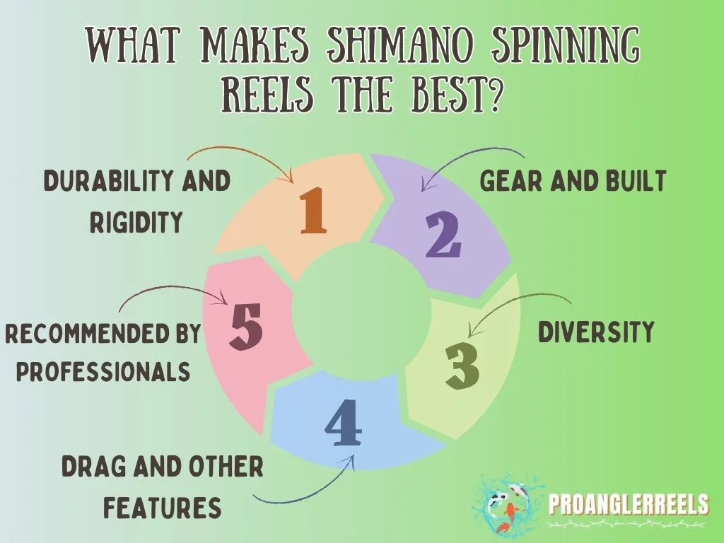 What makes Shimano Spinning Reels the Best