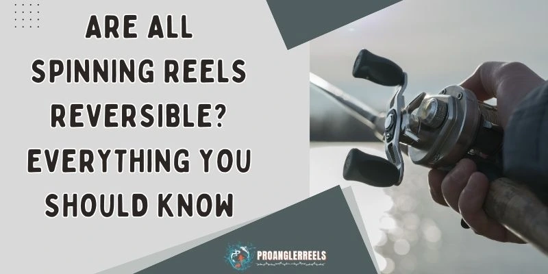 Are All Spinning Reels Reversible Everything You Should Know