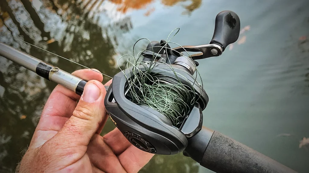 Backlash on a Spinning Reel How It Happens