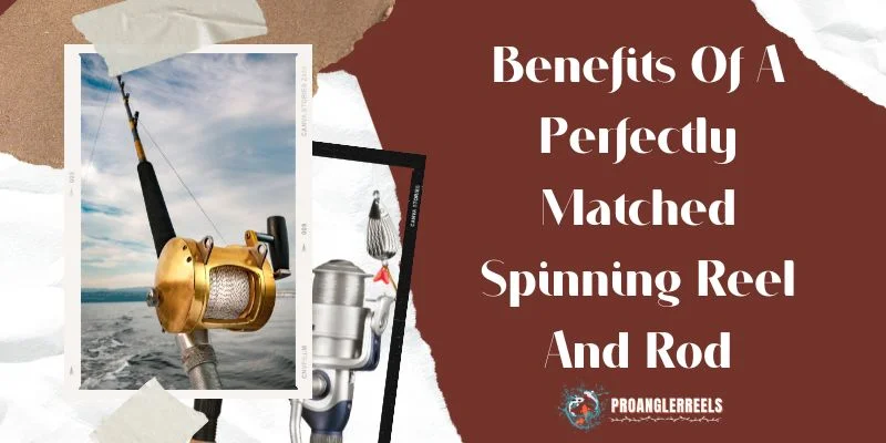 Benefits Of A Perfectly Matched Spinning Reel And Rod
