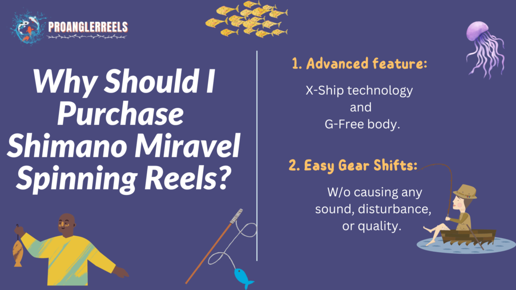 Why Should I Purchase Shimano Miravel Spinning Reels?