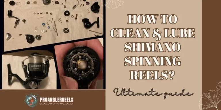 How To Clean And Lube Shimano Spinning Reels in 5 Simple Steps