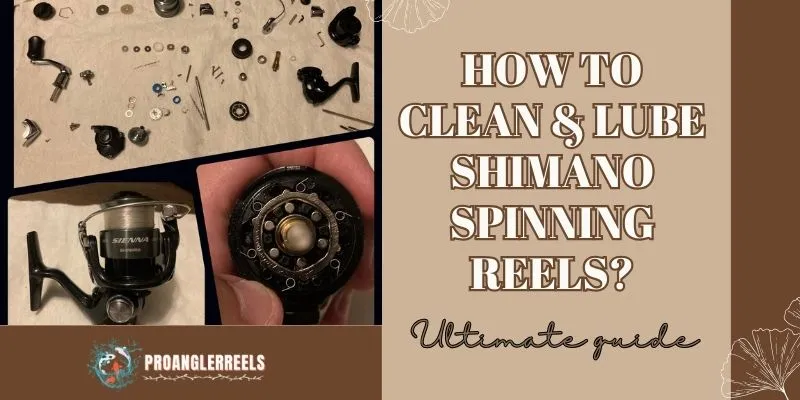 How To Clean and Lube Shimano Spinning Reels Ultimate Guide