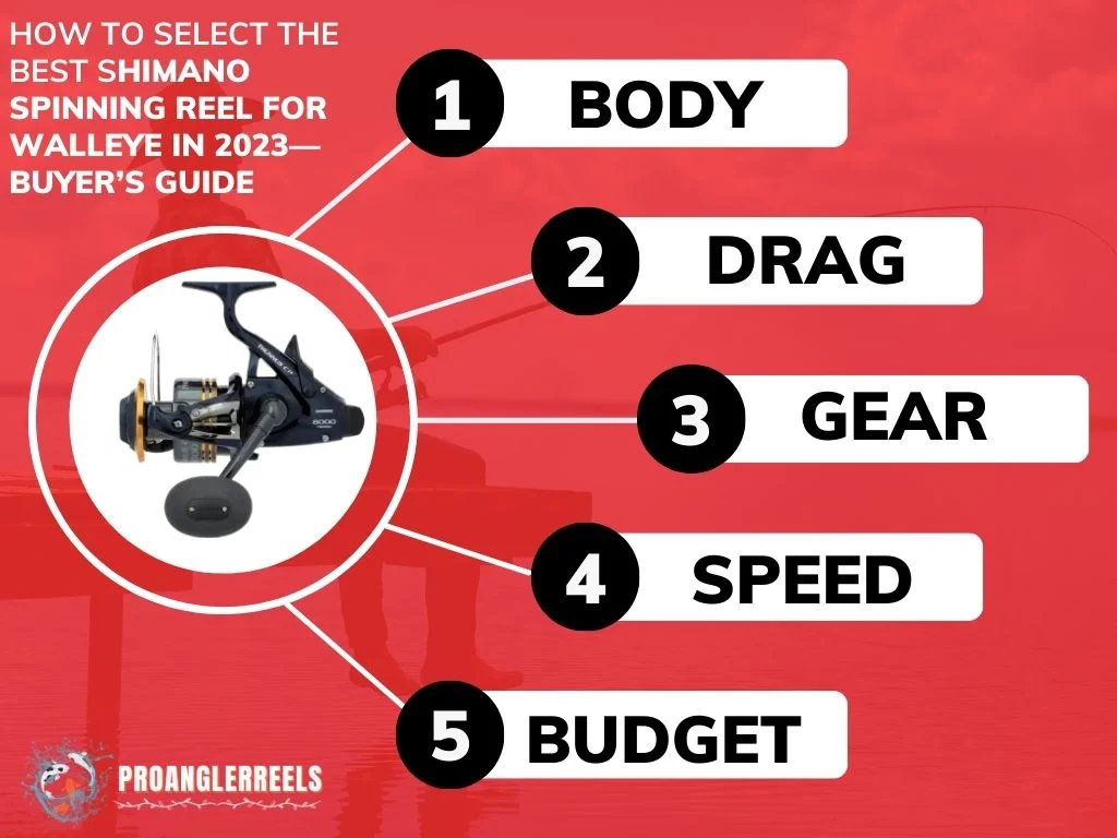How To Select The Best Shimano Spinning Reel For Walleye In 2023—Buyer’s Guide