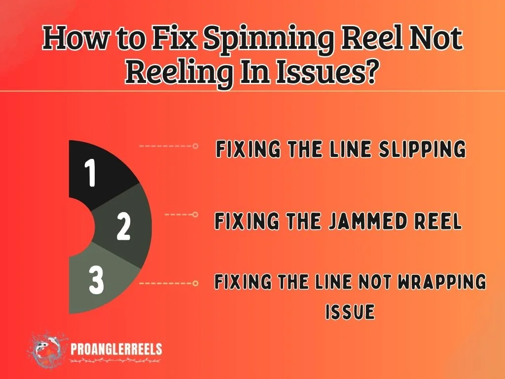 How to Fix Spinning Reel Not Reeling In Issues,  

Why Won’t The Spinning Reel Reel In?
 