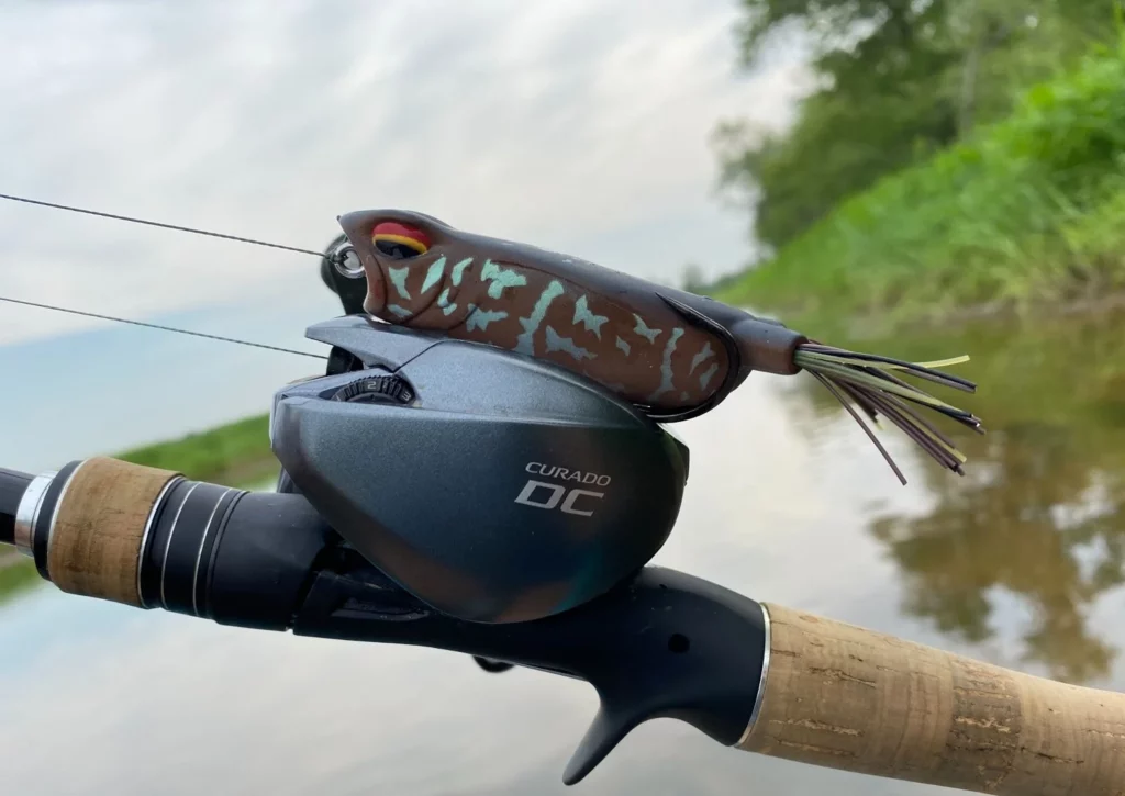 Shimano CURADO DC-- Best Shimano Fishing Reel for Crappie for the Money