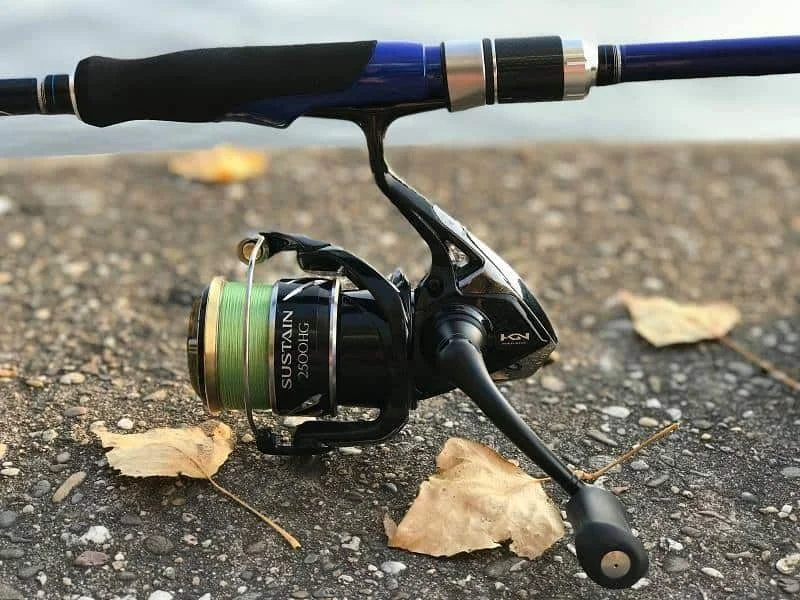 Shimano Sedona 2500—Best Shimano Spinning Reel for the Money in 2023
