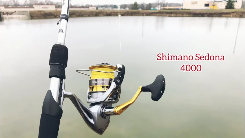 Shimano Sedona 4000—Most Reliable Shimano Spinning Reel for the Money