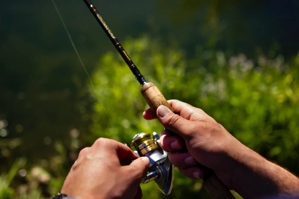 Shimano Sedona Fl—Best Budget Fishing Reel by Shimano