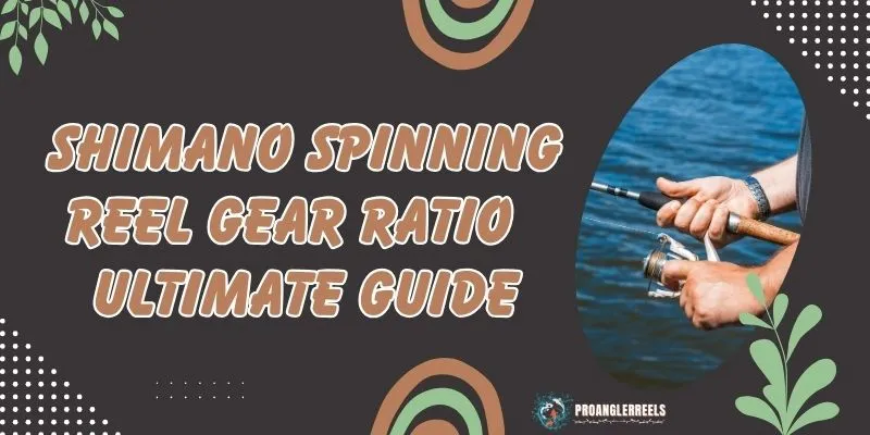 Shimano Spinning Reel Gear Ratio Ultimate Guide