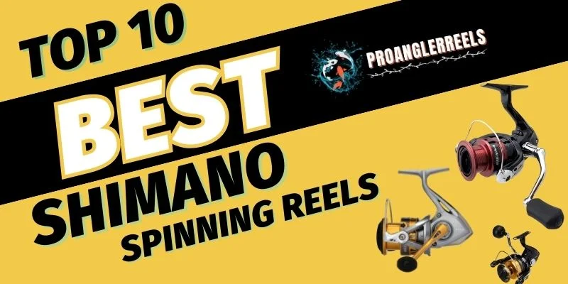 Top 10 Best Shimano Spinning Reels