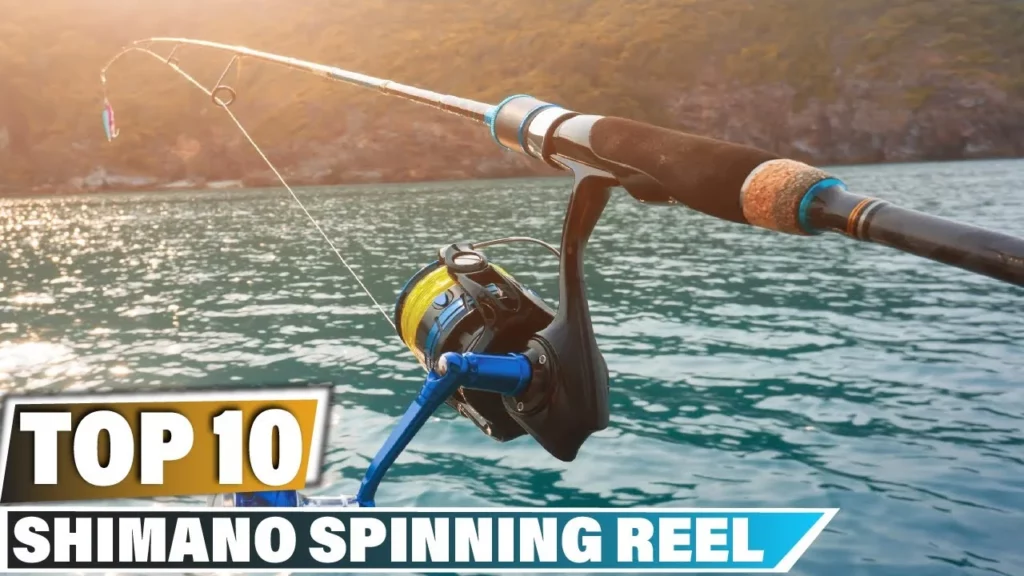 Top 10 Shimano Spinning Reels Reviewed in 2023