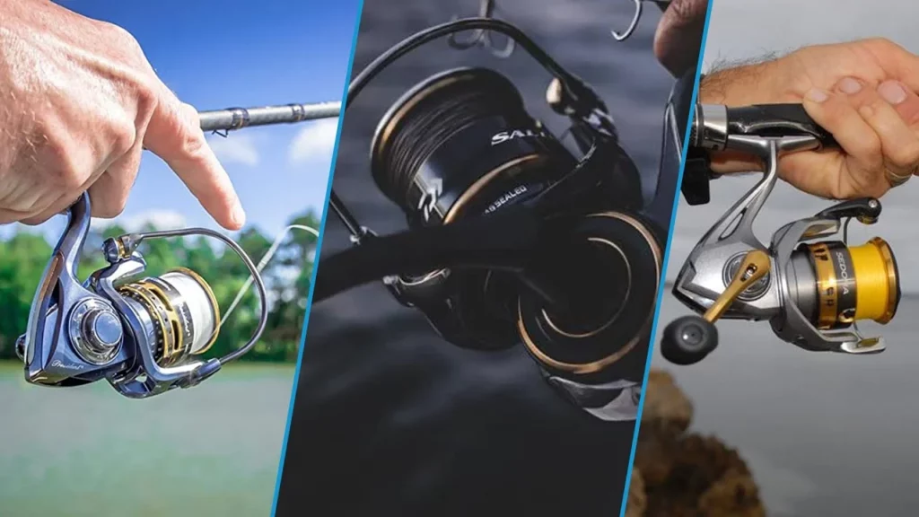 Top 10 Shimano Spinning Reels for Wall Eye Compared in 2023