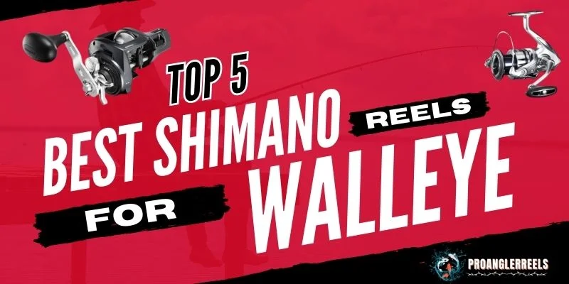 Top 5 Best Shimano Reels For Walleye