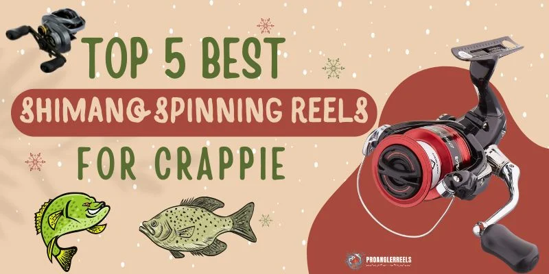 Top 5 Best Shimano Spinning Reel For Crappie Tested In 2023