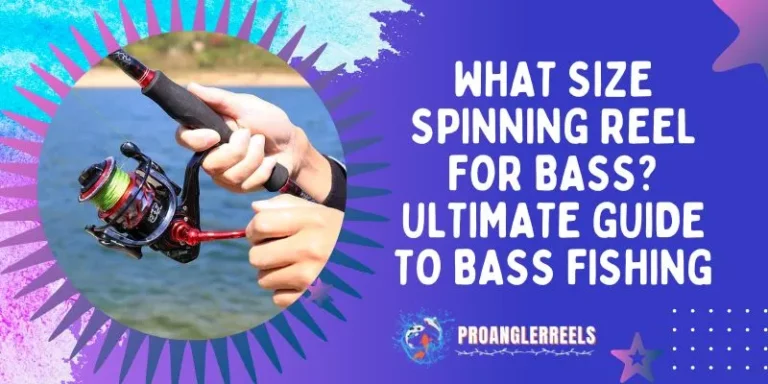 What Size Spinning Reel For Bass?—Ultimate Guide To Bass Fishing