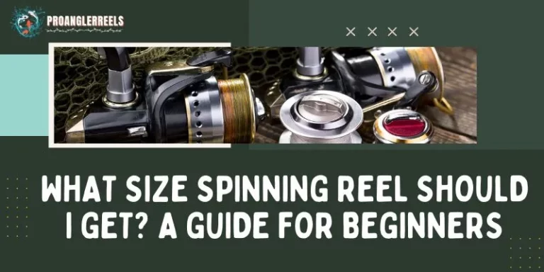 What Size Spinning Reel Should I Get? A Guide For Beginners