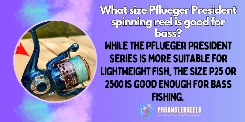 What size Pflueger President spinning reel is good for bass