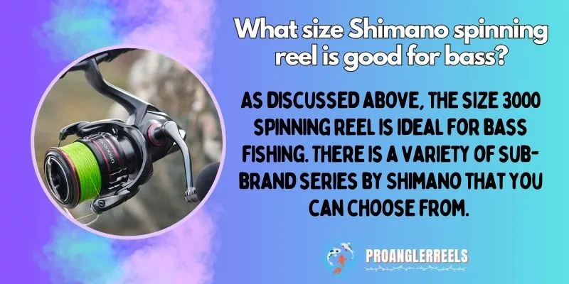 What size Shimano spinning reel is good for bass