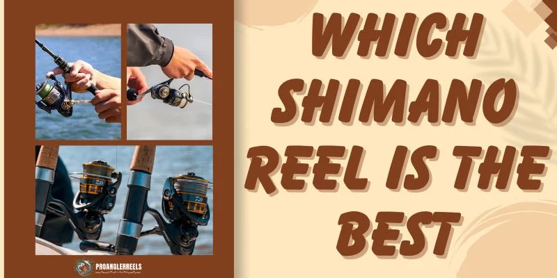 Which Shimano Reel Is The Best