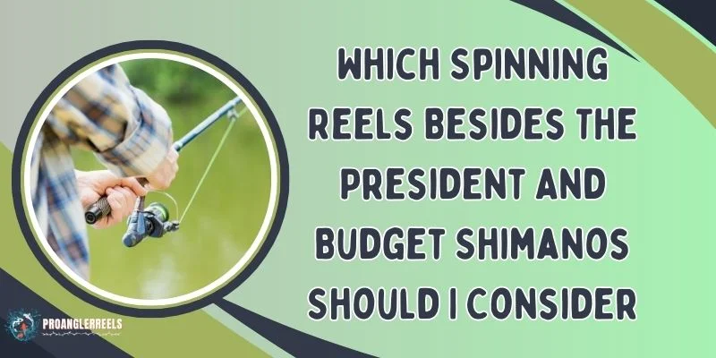 Which Spinning Reels Besides The President And Budget Shimanos Should I Consider