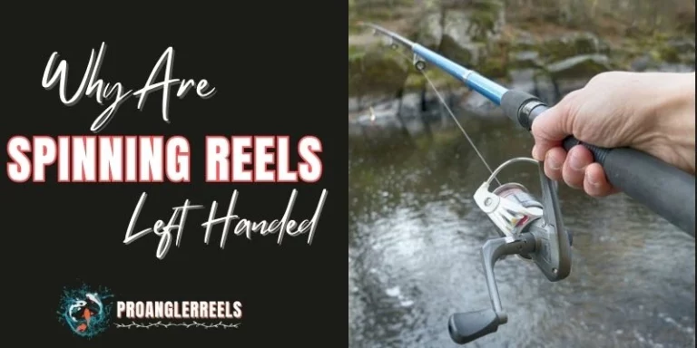 Why Are Spinning Reels Left-Handed?—Here’s Everything You Should Know