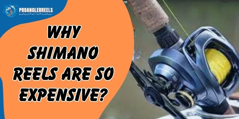 Why Shimano Reels Are So Expensive