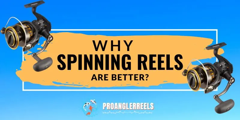 Why Spinning Reels Are Better