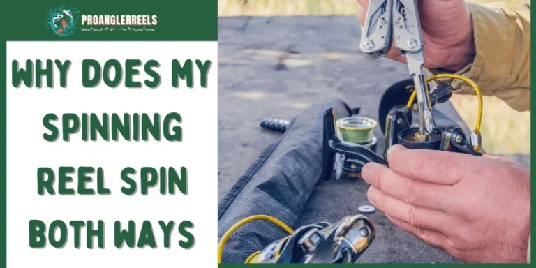 Why Does My Spinning Reel Spin Both Ways?—Possible Reasons 2024