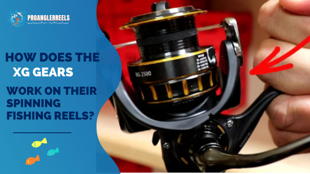 How Does the Shimano XG Gears Work on Their Spinning Fishing Reels?
