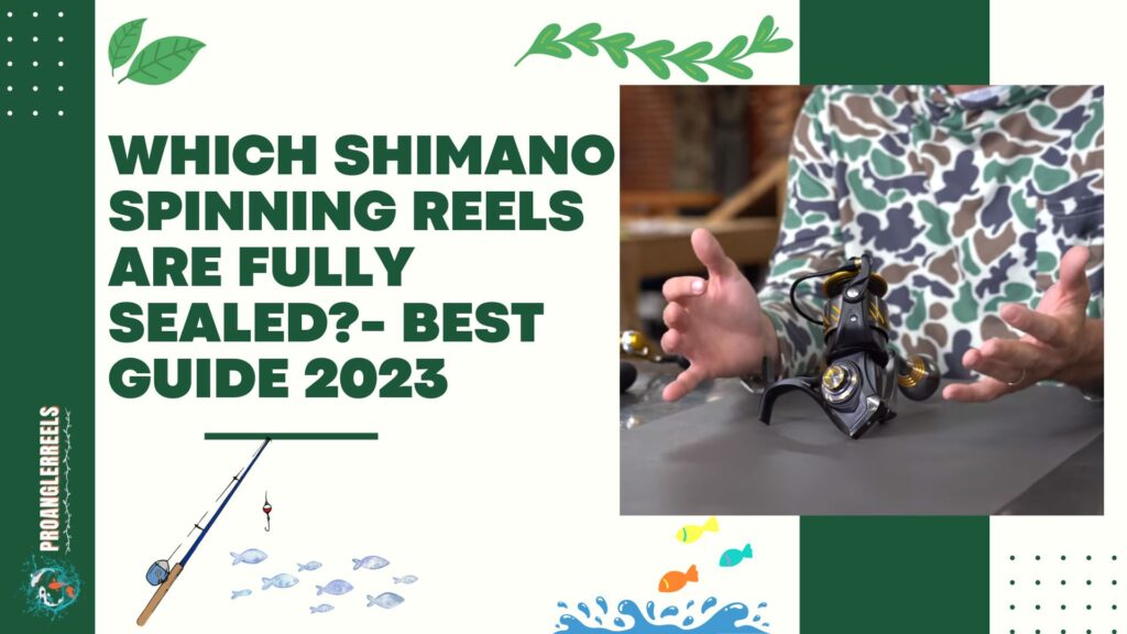Which Shimano Spinning Reels are Fully Sealed?- Best Guide 2023