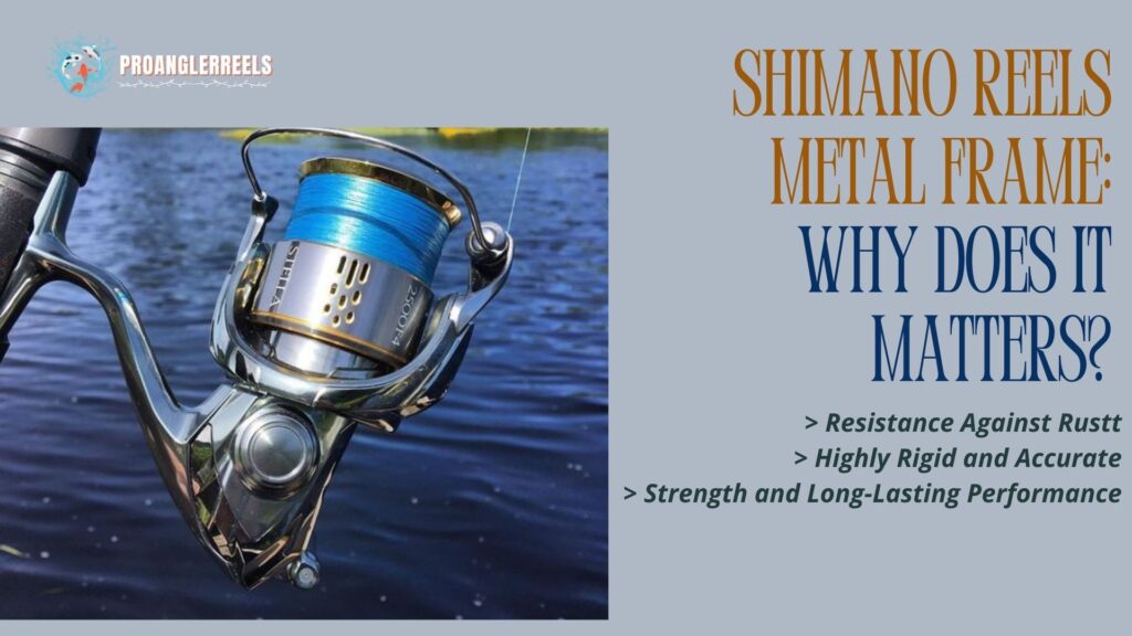 Shimano Reels Metal Frame: Why Does It Matters?
