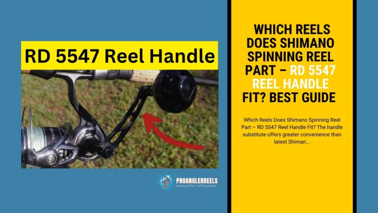 1. Which Reels Does Shimano Spinning Reel Part – RD 5547 Reel Handle Fit? BEST GUIDE