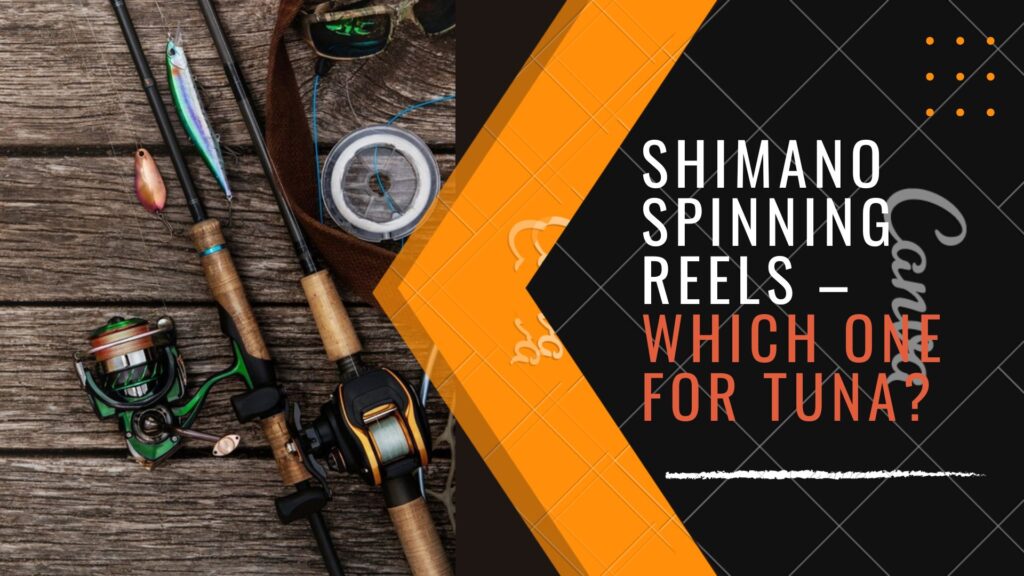 Shimano Spinning Reels – Which One for Tuna?