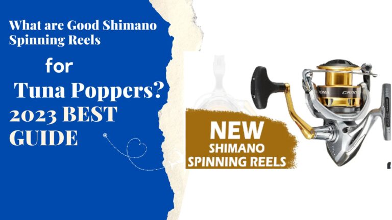 What are Good Shimano Spinning Reels for Tuna Poppers? 2024 BEST GUIDE