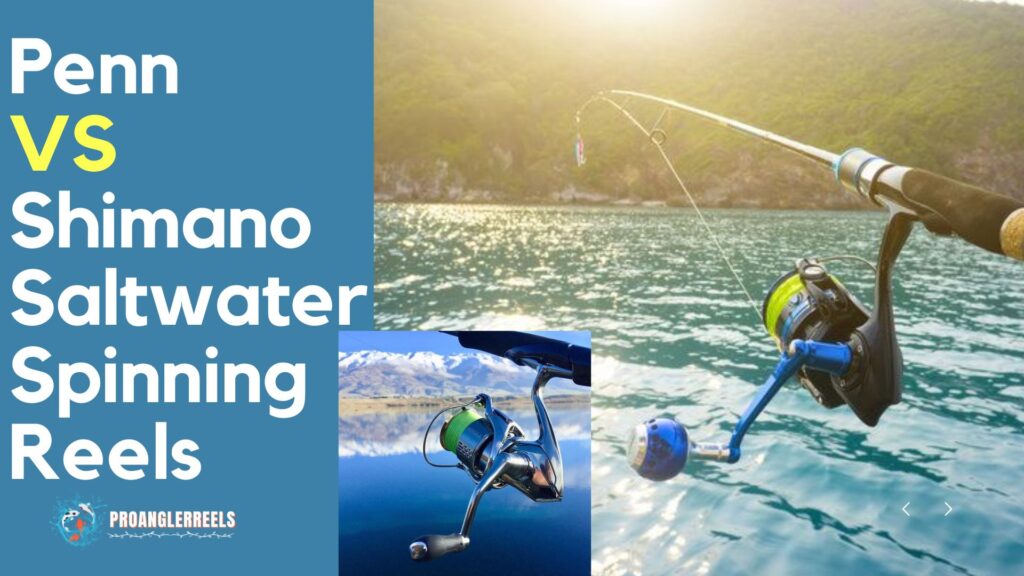 Penn VS Shimano Saltwater Spinning Reels