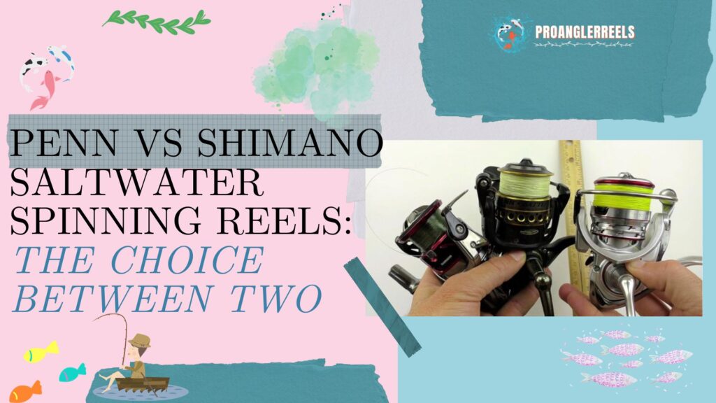 Penn VS Shimano Saltwater Spinning Reels: The choice between Two