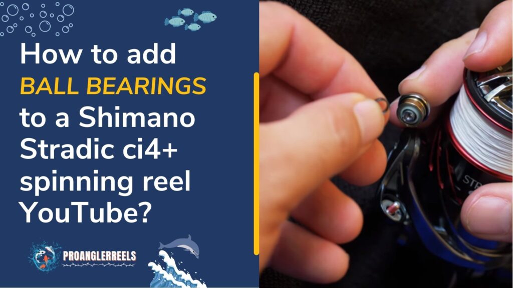 How to add ball bearings to a Shimano Stradic ci4+ spinning reel YouTube?