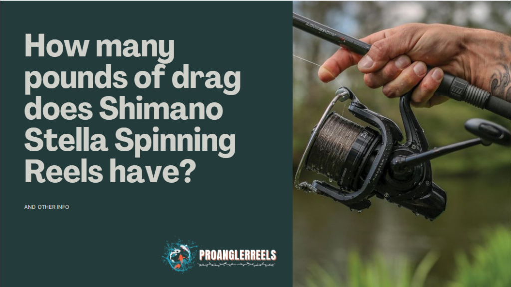 How many pounds of drag does Shimano Stella Spinning Reels have?