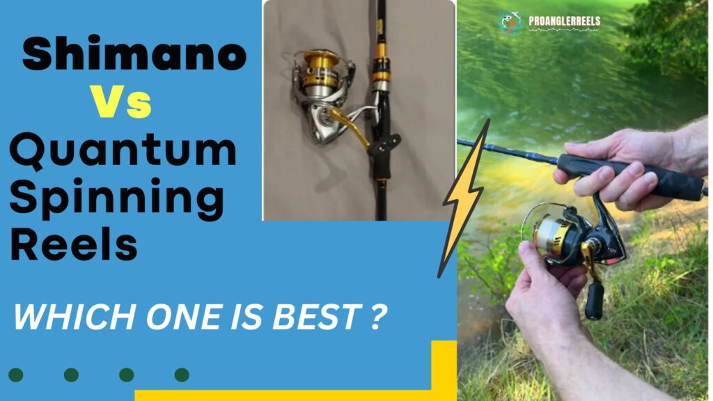 Shimano Vs Quantum Spinning Reels | Which one is BEST ?