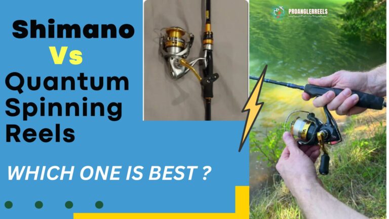 1. Shimano Vs Quantum Spinning Reels | Which one is BEST ?