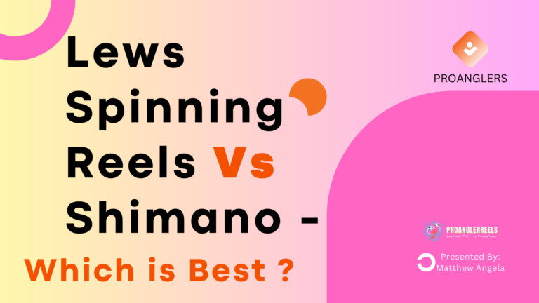 1. Lews Spinning Reels Vs Shimano | Which is Best ?