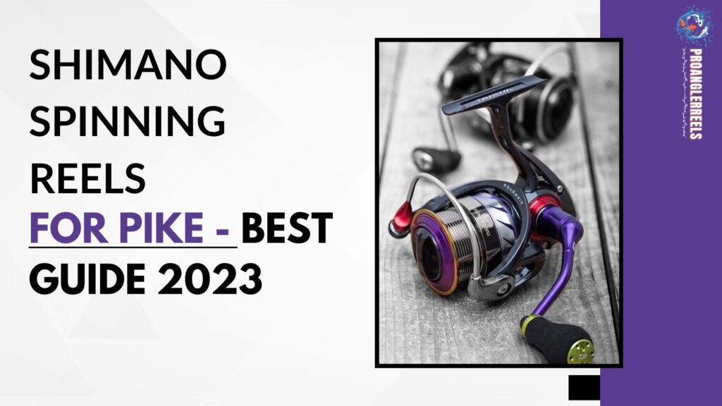 Shimano Spinning Reels for Pike - Best guide 2023