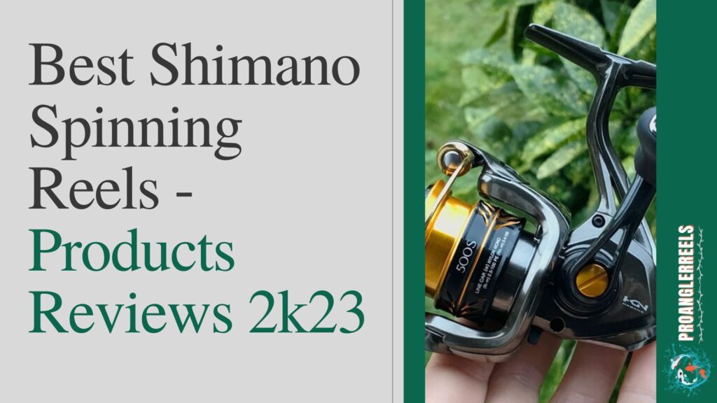 Best Shimano Spinning Reels | Products Reviews 2k23