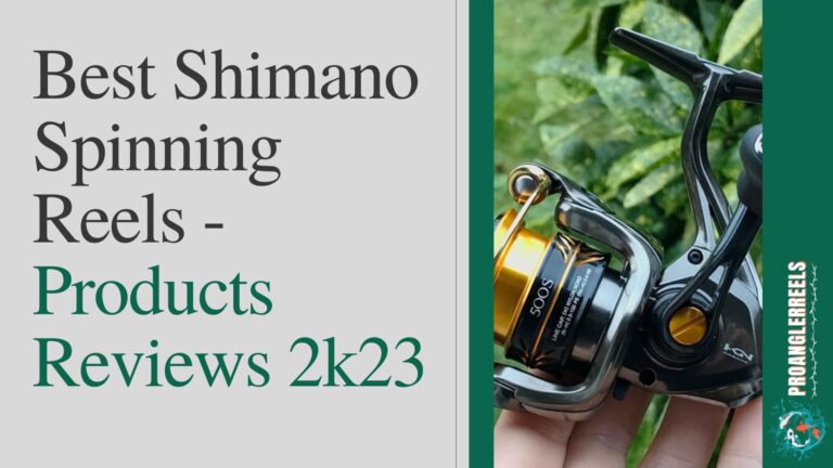 Best Shimano Spinning Reels | Products Reviews 2024