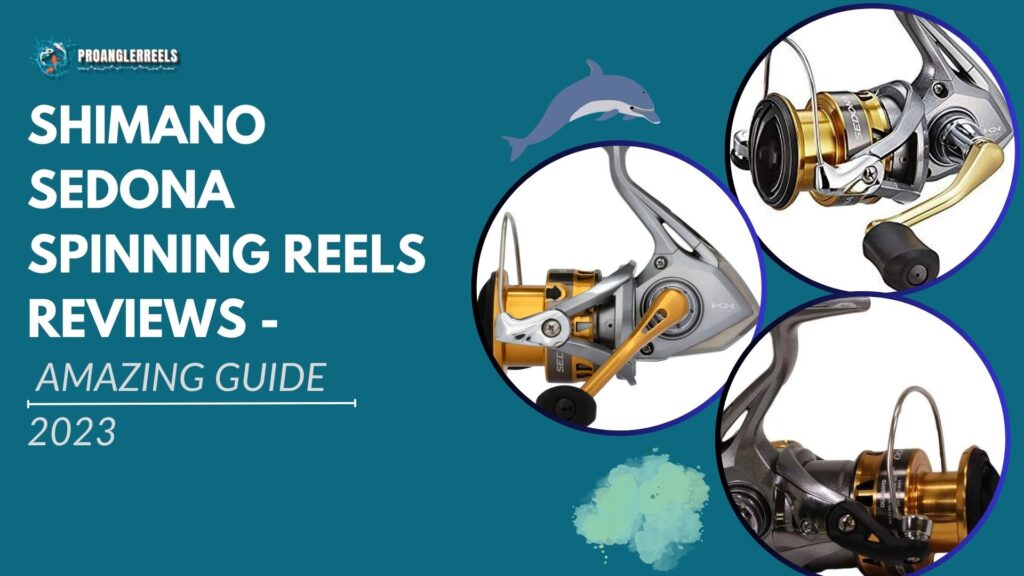 Shimano Sedona Spinning Reels Reviews - Amazing Guide 2023